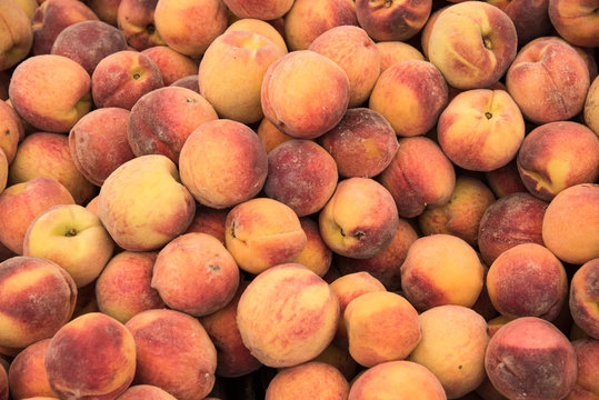 Fresh yellow peaches for sale