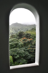 Fototapeta premium El Yunque