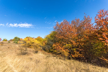 Autumn view of Cherna Gora (Monte Negro) mountain, Pernik Region, Bulgaria
