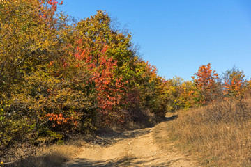 Autumn view of Cherna Gora (Monte Negro) mountain, Pernik Region, Bulgaria