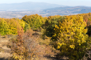 Naklejka na ściany i meble Autumn view of Cherna Gora (Monte Negro) mountain, Pernik Region, Bulgaria