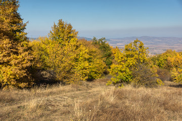 Obraz premium Autumn view of Cherna Gora (Monte Negro) mountain, Pernik Region, Bulgaria