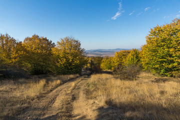 Fototapeta premium Autumn view of Cherna Gora (Monte Negro) mountain, Pernik Region, Bulgaria