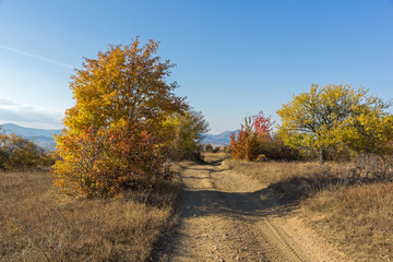 Autumn view of Cherna Gora (Monte Negro) mountain, Pernik Region, Bulgaria