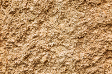Limestone surface texture, background. Space for text.