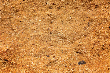 Limestone surface texture, background. Space for text.