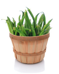 Basket full of fresh picked green beans over a white background with slight reflection.
