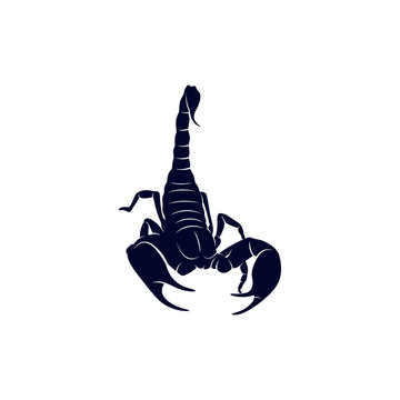 Scorpion Logo Vector, vector image for the tattoo, symbol or logo, Illustration Template