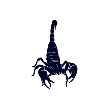 Scorpion Logo Vector, vector image for the tattoo, symbol or logo, Illustration Template
