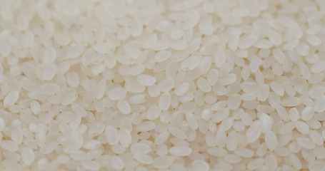 White uncooked rice in stack