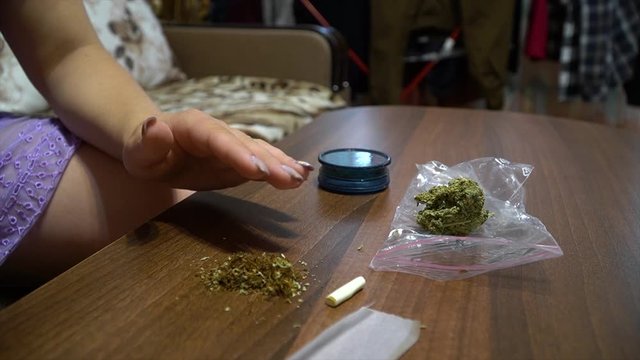 Woman preparing cannabis joint, drug abuse problem