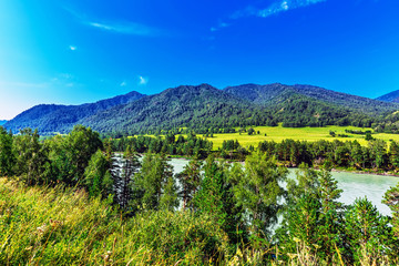 Naklejka premium Summer landscape with Katun river. Chemal, Gorny Altai, Siberia, Russia