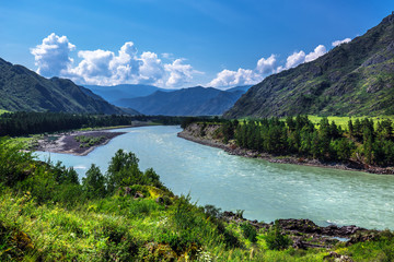 Naklejka na ściany i meble Summer landscape with Katun river. Chemal, Gorny Altai, Siberia, Russia
