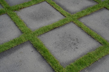 Obraz premium Side walk with grass design