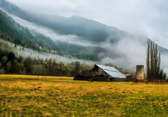 Waiting fore the Fog to Lift