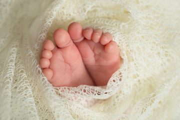 tiny foots of newborn baby
