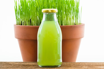 Fresh young wheatgrass growing in a terracotta pot with a reusable bottle containing juice.