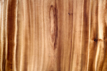 Texture Background of Wooden Wood