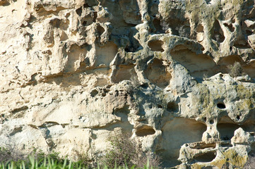Takirao Maori Rock Drawings,New Zealand