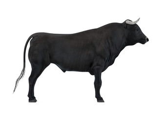 Bull Isolated