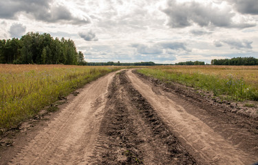 Road In The Field.