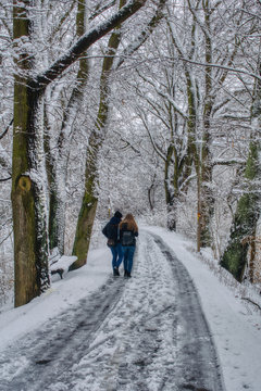 śnieżna zima, w ośnieżonym parku para spaceruje alejką parkową, drzewa pokryte śniegiem i szronem