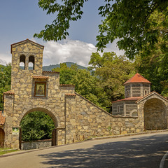 telavi georgia Europe caucus
