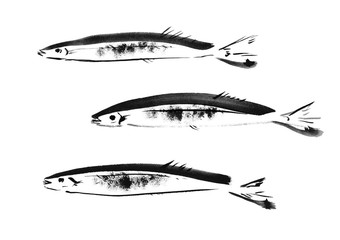 秋刀魚, さんま, サンマ, 魚, 秋, 秋食材, 旬, さかな, 青魚, イラスト, 墨絵, 和風, 筆書き, 手描き, 和食, 秋の食材, イラスト素材, 白バック, 白背景, 手書き, 挿絵, カット, 日本食, 定番, 食べ物, フード, 食事, 料理, 日本, 日本料理, 筆描き, 素材, イラストレーション, 定食, 魚介類, 秋の味覚, 長い, 細長い, 三匹, 生, 生魚, 泳ぐ, © 詩織