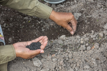 The farmer who is putting his seeds into the soil.