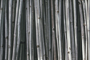 Gray dry bamboo background that is arranged vertically.
