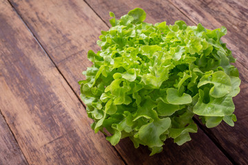 Lettuce concept that is placed on a brown wooden floor.