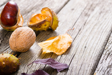 fallen autumn growths and leaves on worn wooden