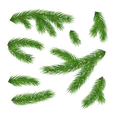Realistic branches of christmas tree isolated on white background. Merry Christmas and Happy New Year decorations. Green pine tree branches set vector illustration. Various conifer plant elements.