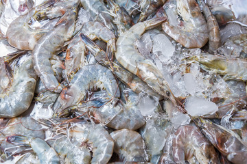 white shrimp on ice in Thailand seafood market, seafood background.