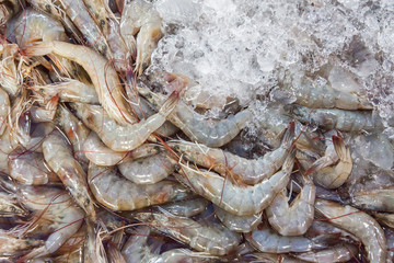 white shrimp on ice in Thailand seafood market, seafood background.