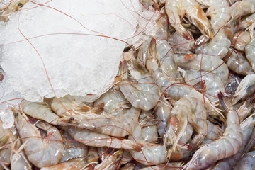 white shrimp on ice in Thailand seafood market, seafood background.