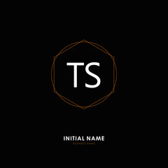 TS TS Initial logo letter with minimalist concept. Vector with scandinavian style logo.