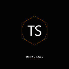 TS TS Initial logo letter with minimalist concept. Vector with scandinavian style logo.