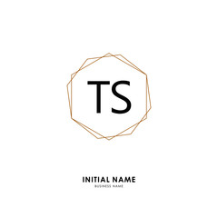 TS TS Initial logo letter with minimalist concept. Vector with scandinavian style logo.