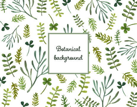 17 260 Best ボタニカル Images Stock Photos Vectors Adobe Stock