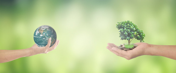 World environment concept: Human hand holding earth global and tree over green bokeh background. Elements of this image furnished by NASA