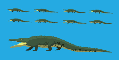 Cartoon Alligator Walking Animation Vector