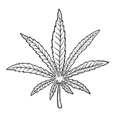 Illustration of cannabis leaf isolated on white background. Design element for poster, banner, t shirt, emblem.