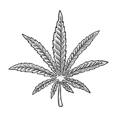 Illustration of cannabis leaf isolated on white background. Design element for poster, banner, t shirt, emblem.