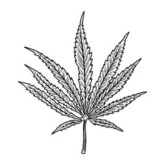 Illustration of cannabis leaf isolated on white background. Design element for poster, banner, t shirt, emblem.