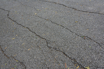 Autumn, many tiny leaves fall on the asphalt road with cracks