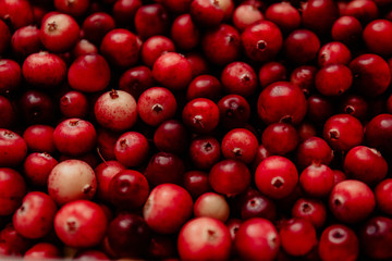 cranberry berries