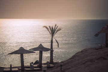 Empty beautiful beach with umbrellas and sunbeds in Egypt