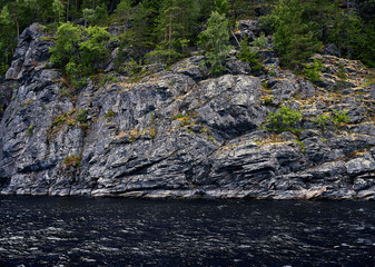 Rocky shore covered by pine tree forest. Nothern sea