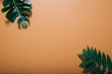 Natural spa framed by greens on brown background